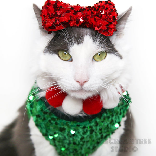 Holiday Green Sequin Party Outfit Set - Pet Clothing