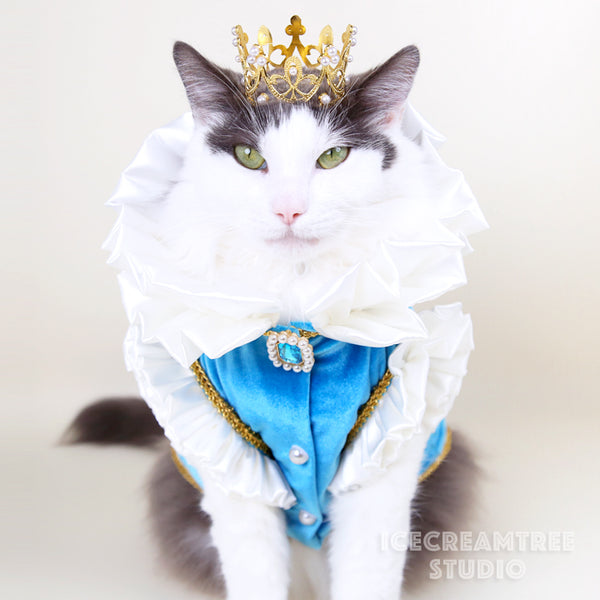 King Jacket Outfit Set - Pet Clothing