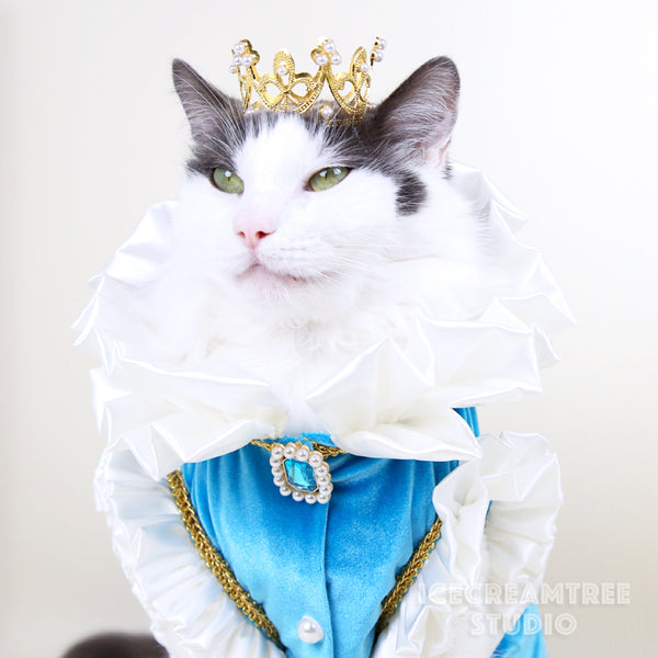 King Jacket Outfit Set - Pet Clothing
