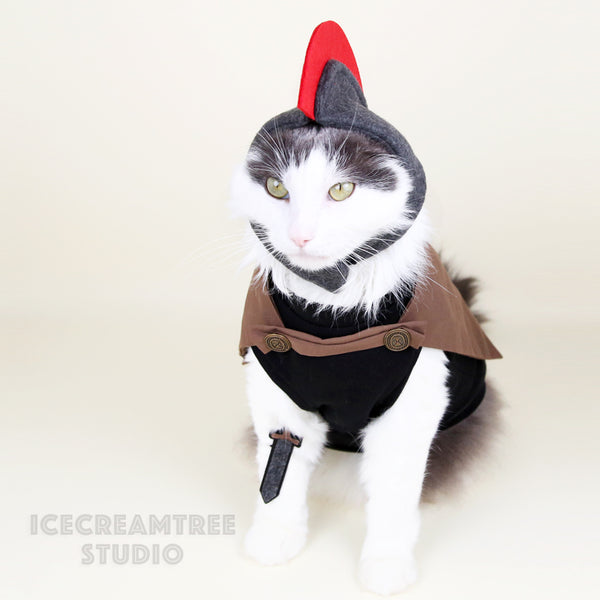 The Odyssey inspired Outfit Set - Pet Costume