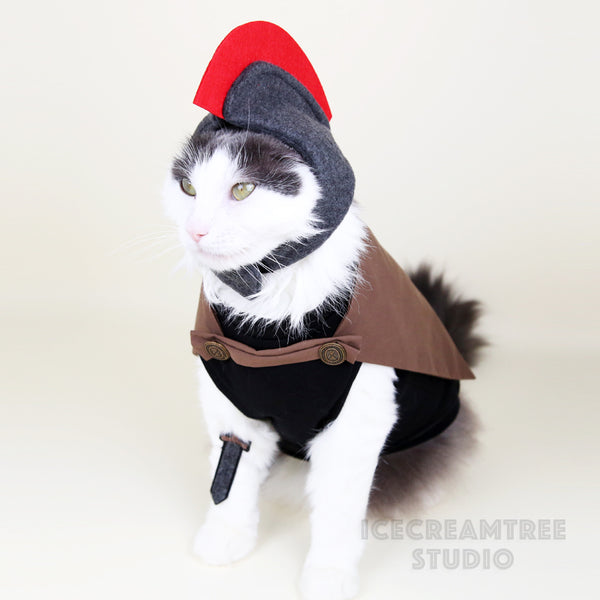 The Odyssey inspired Outfit Set - Pet Costume