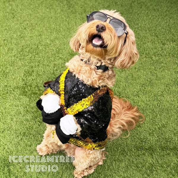 Michael Inspired Outfit Set - Pet Clothing