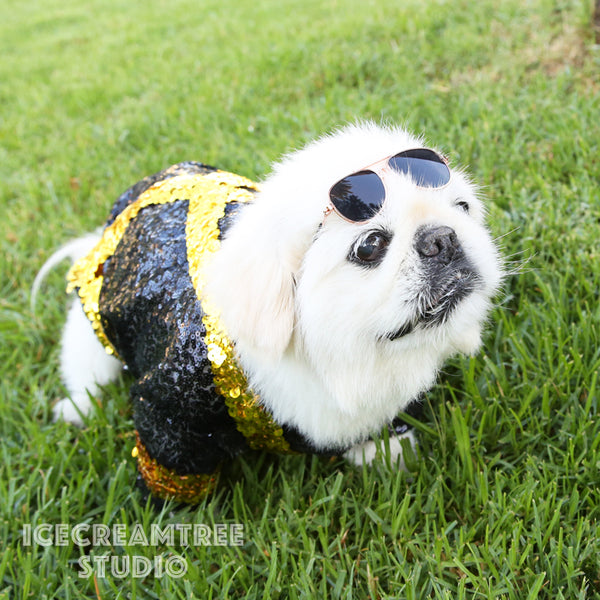 Michael Inspired Outfit Set - Pet Clothing