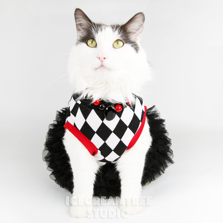 Harley Quinn Look Outfit Set Pet Clothing Icecreamtree Studio