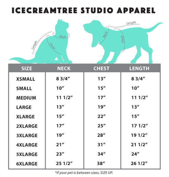 Adventure Look Outfit Set - Pet Clothing