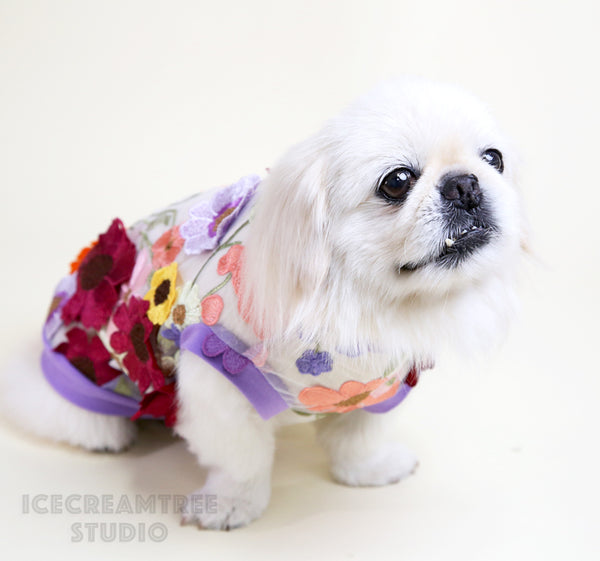 3D Flower Mesh Top - Pet Clothing