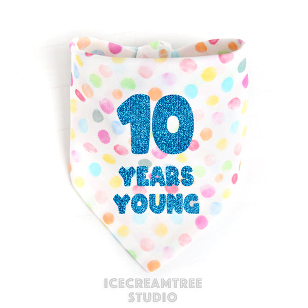 Custom Confetti Birthday Bandana - Tie on Classic Pet Bandana Scarf