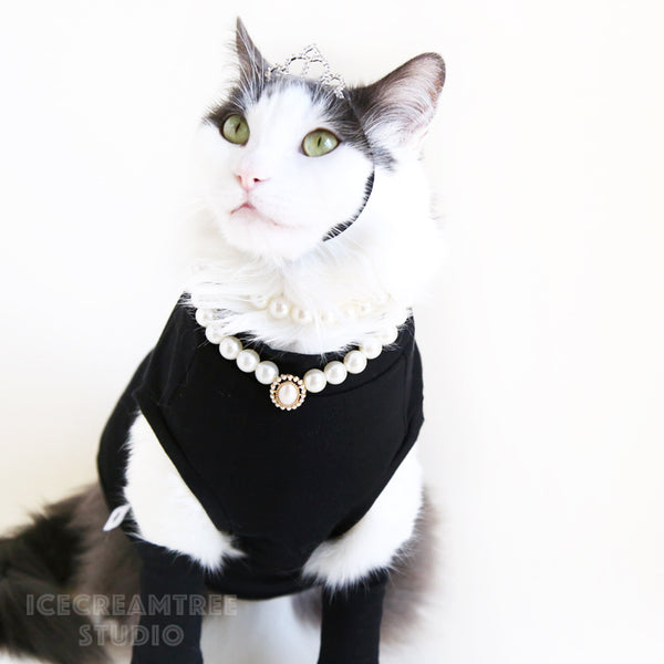 Breakfast at Tiffany's Look Outfit Set - Pet Clothing