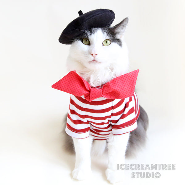 French Look Outfit Set II - Pet Clothing