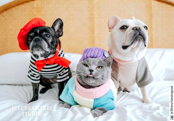 Pastel Color Block Fleece Sweater and Beanie Outfit - Pet Clothing