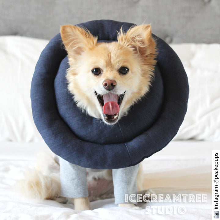 The comfy cone 2024 pet recovery collar