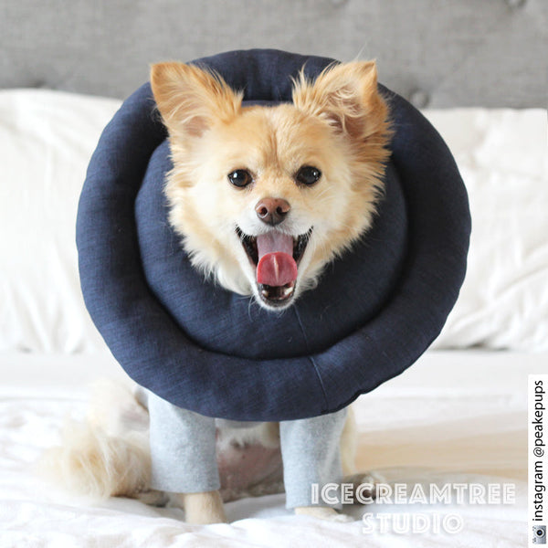 Orange Soft Comfy Cone - Hypoallergenic - Pet Recovery Collar