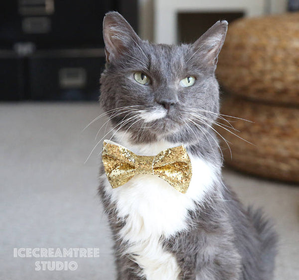 Faux Leather Metallic Gold Bow Tie - Pet Bow Tie