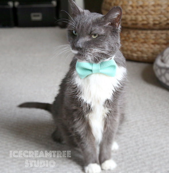 Faux Leather Aqua Mint Bow Tie - Pet Bow Tie