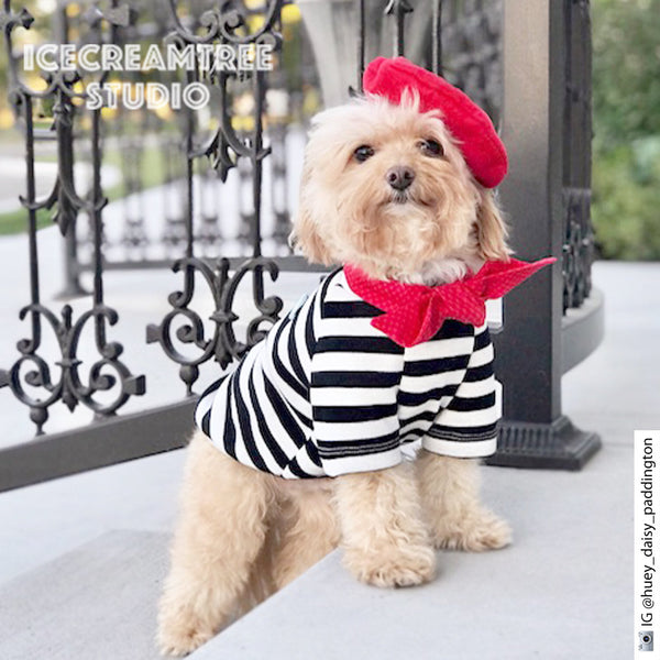 French Look Outfit Set - Pet Clothing