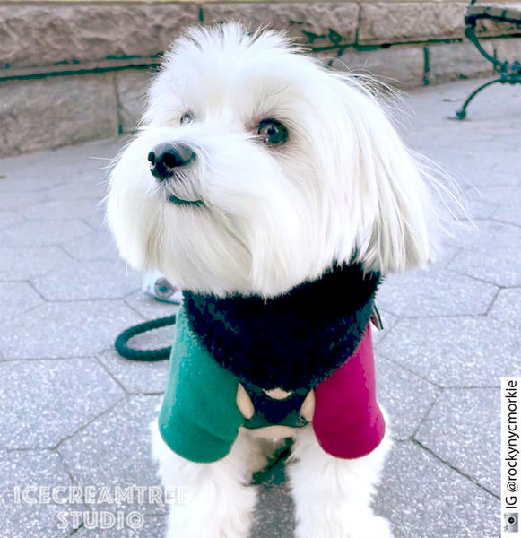 Color Block Fleece Sweater and Beanie Urban Look Outfit - Pet Clothing
