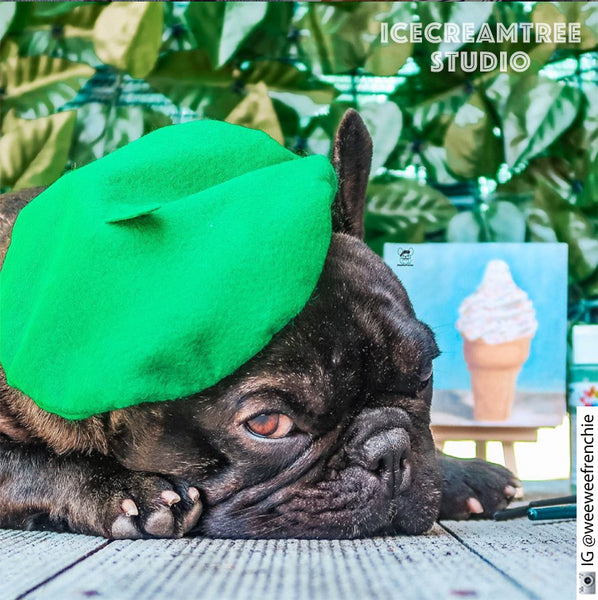 Green Beret Hat - Pet Petite Hat